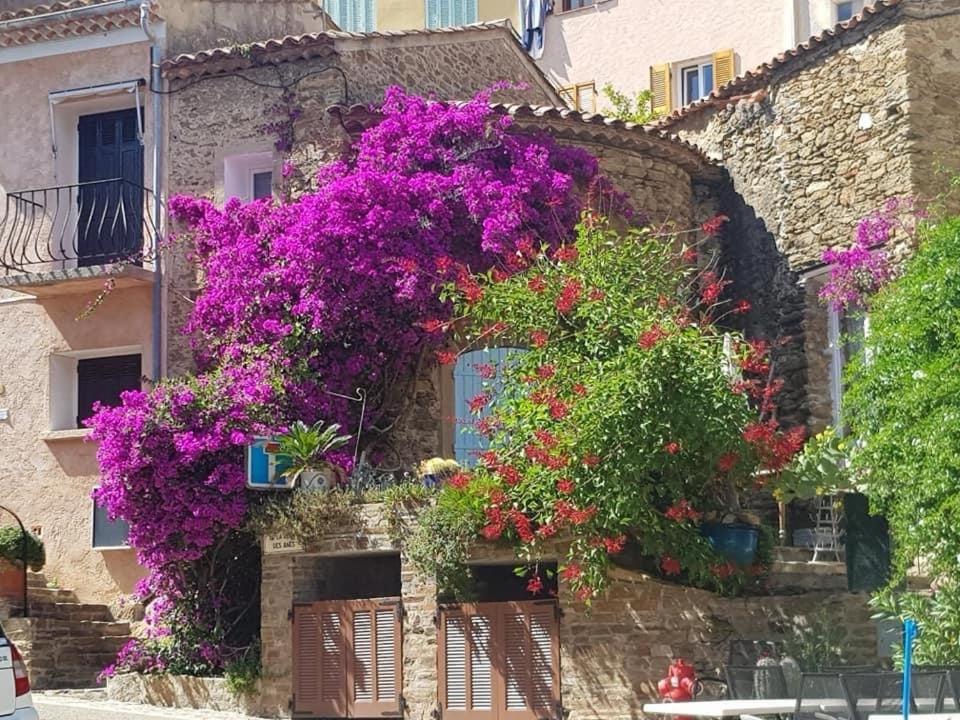 Maison De Vacances Medievale Bormes-Les-Mimosas Village Exteriör bild