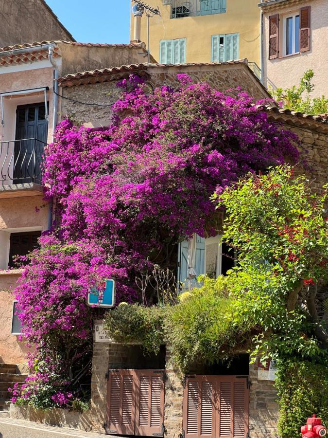 Maison De Vacances Medievale Bormes-Les-Mimosas Village Exteriör bild