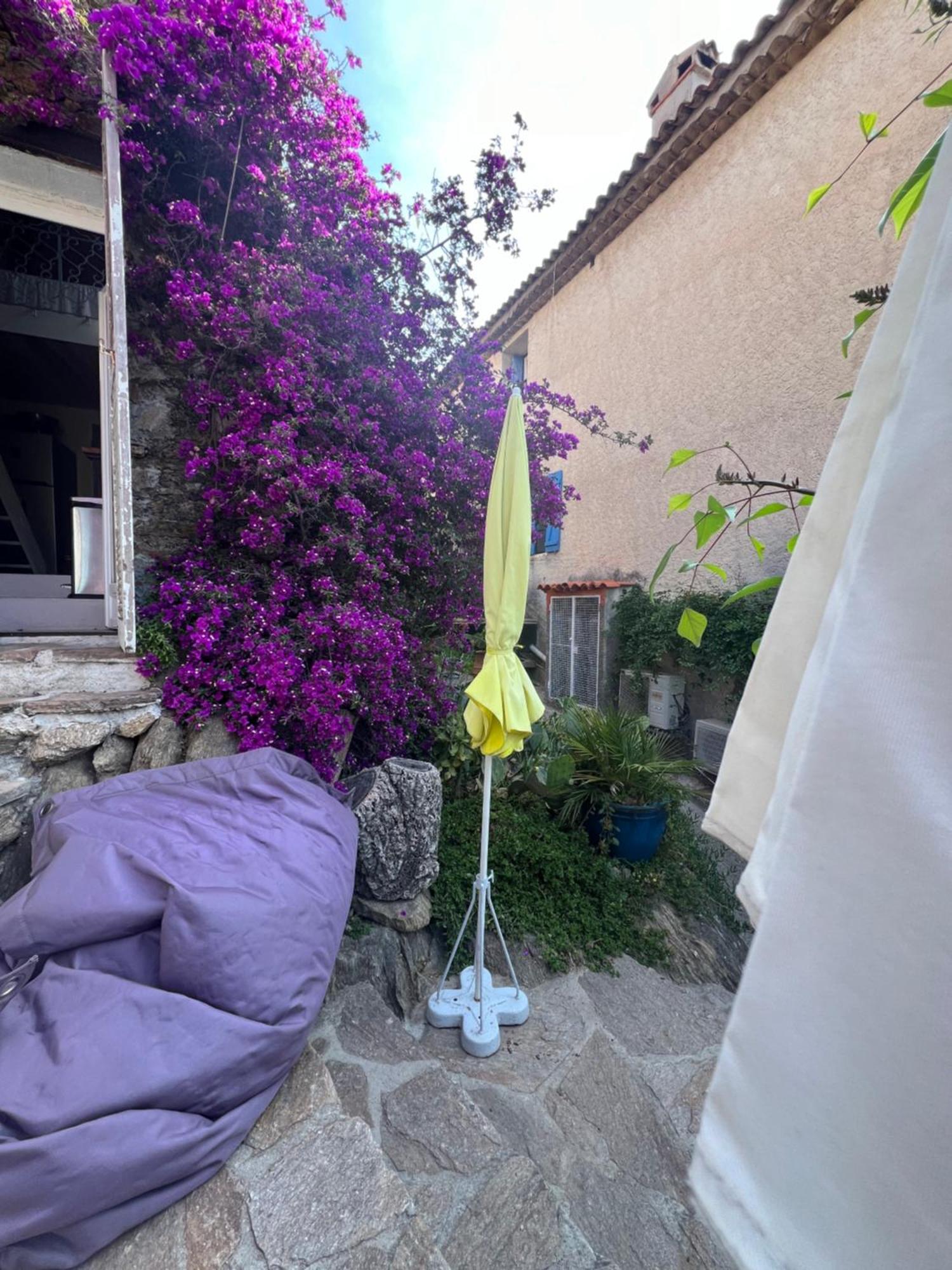 Maison De Vacances Medievale Bormes-Les-Mimosas Village Exteriör bild